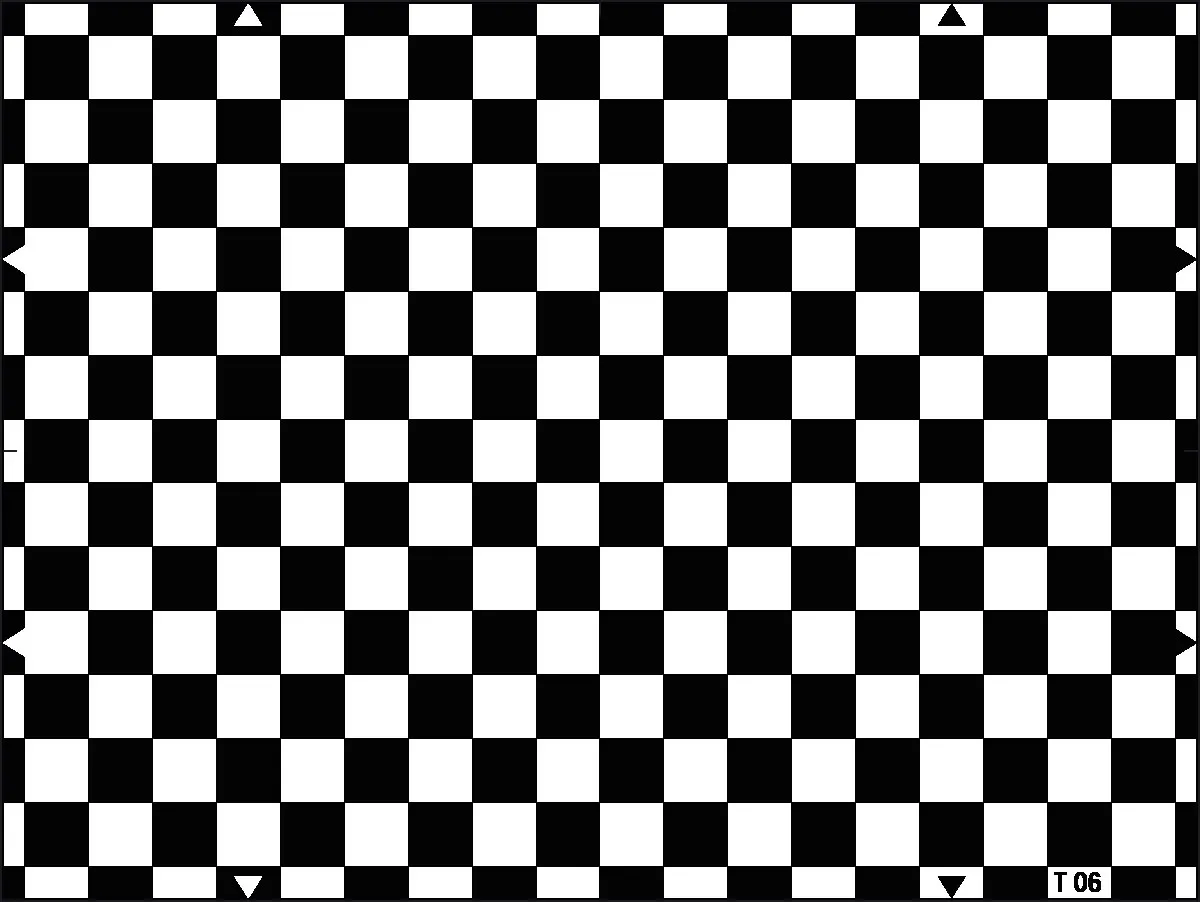T06