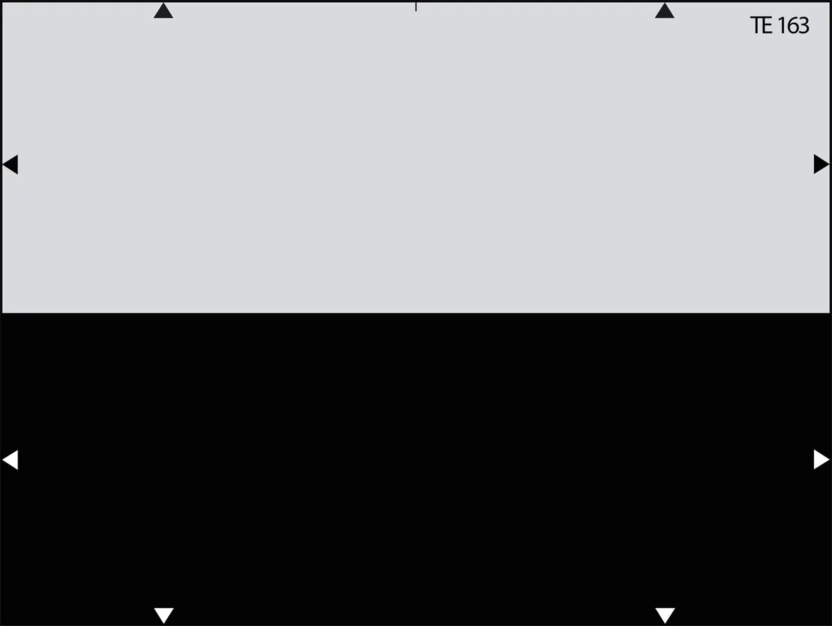 TE163