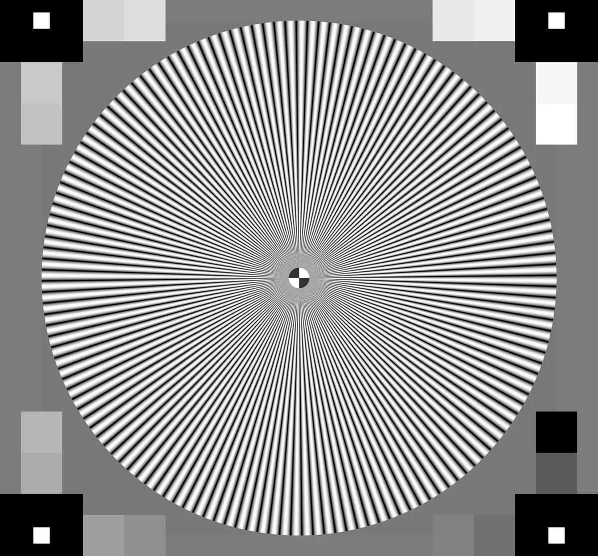 Image 3: An example of a Siemens star target