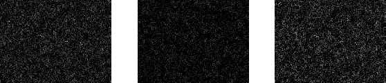 The RAW files from our experiment (details, same tonal correction for all three images)