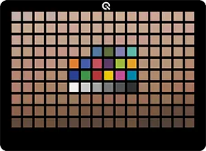 TE300 – A new skin tone test chart