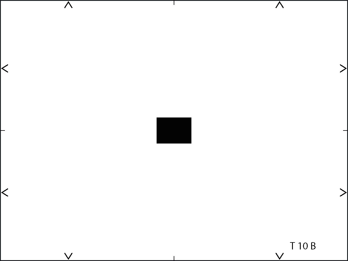 T10B