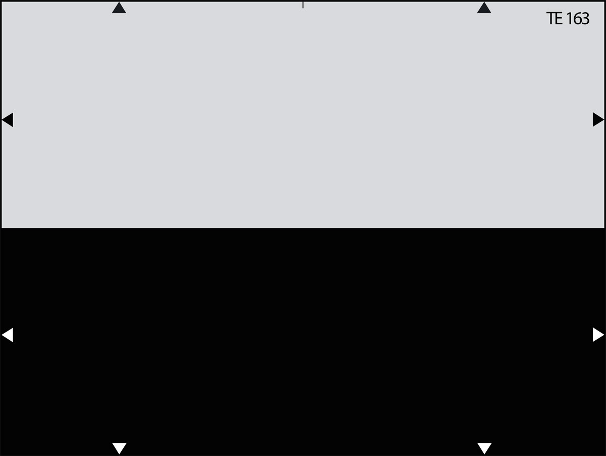 TE163