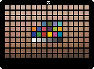 TE300 – A new skin tone test chart